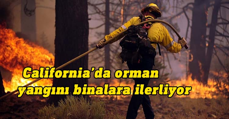 ABD'nin California eyaletinde orman yangını nedeniyle yüzlerce bina tehdit altında