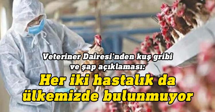 Veteriner Dairesi'nden Türkiye’de görülen kuş gribi,şap hastalıkları ilgili açıklama